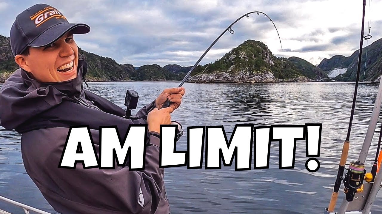 Angeln in Norwegen am Fjord | 200 Meter tief auf große Fische | Seelachs und Pollack
