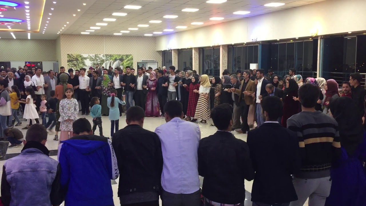 le le zırave beritan aşireti nursima 🎤