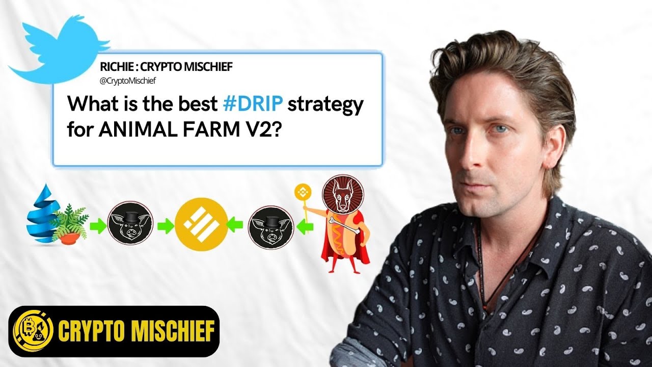 DRIP NETWORK : HOW A 