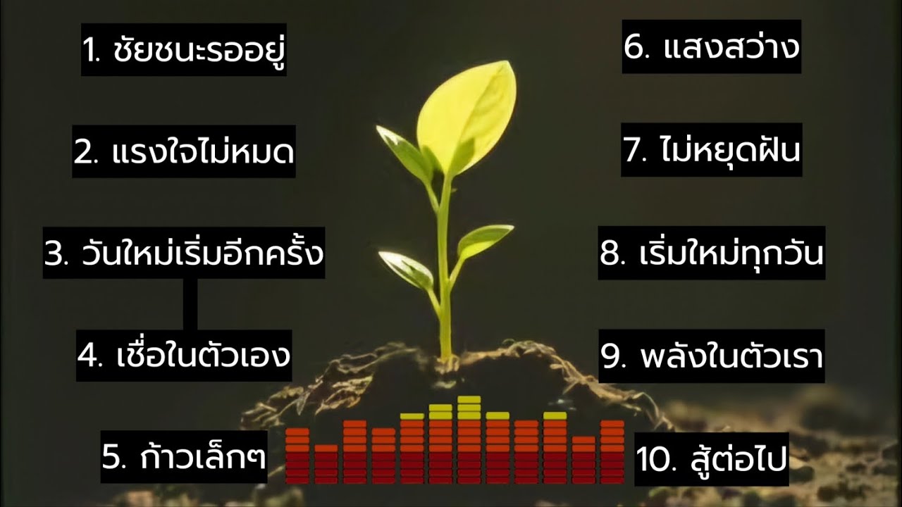 เพลง กำลังใจ เพราะๆ จาก Ai