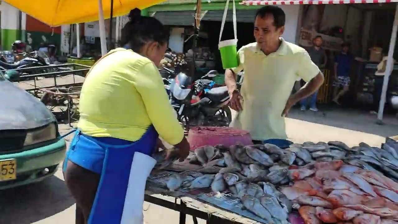 Mercado Público de Santa Marta Magdalena Colombia || Santa Marta market Citytour