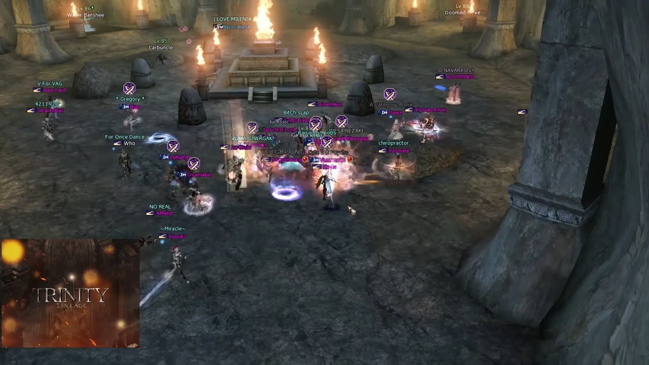 L2 Trinity War PvP RandomsUnited vs Immortals