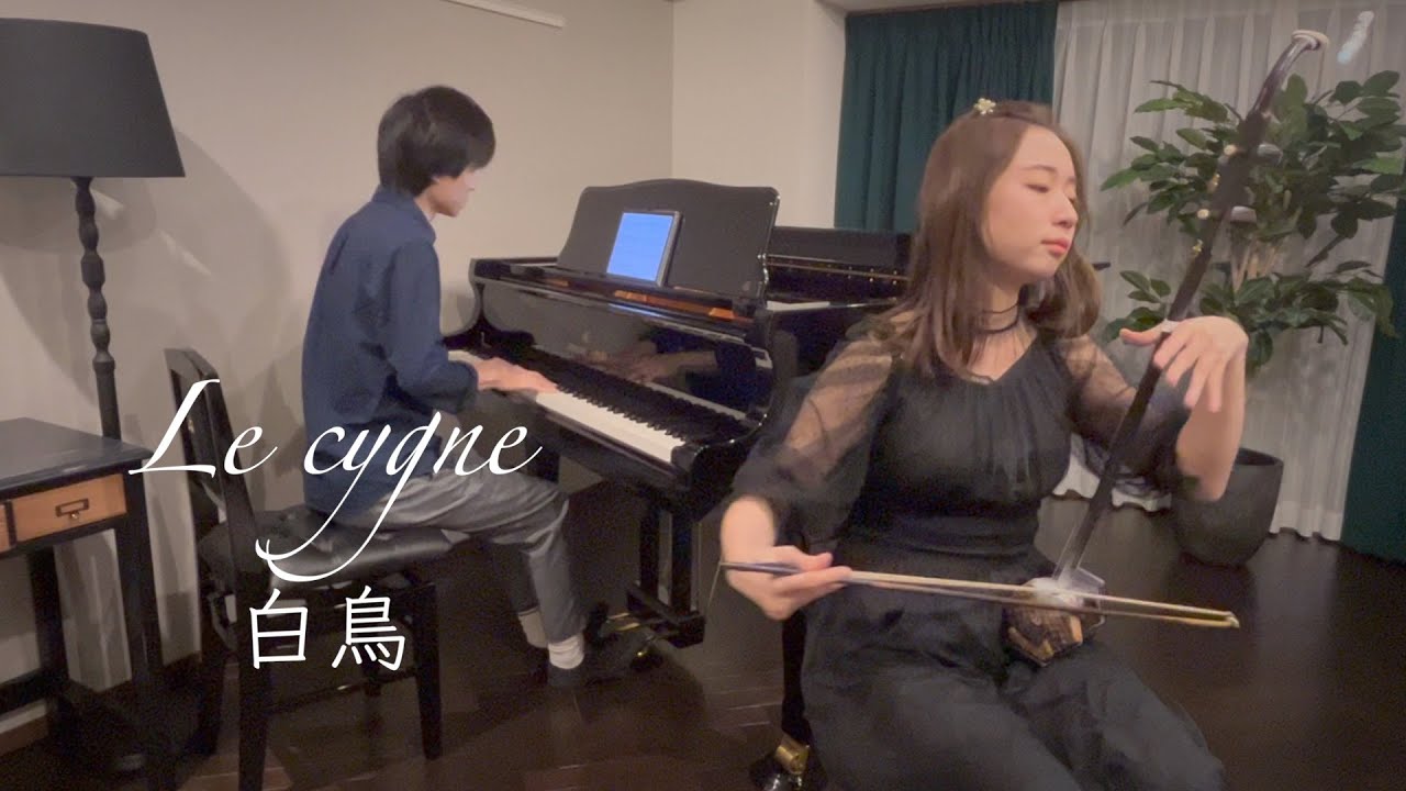 【二胡×ピアノ】白鳥/サン＝サーンス【Erhu × Piano】Le cygne (The Swan)/Saint-Saëns