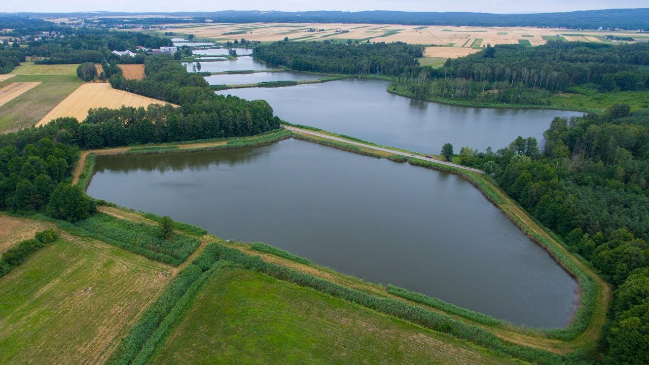 Lasoch&oacute;w - Oksa  -   Przewodnik po łowiskach wędkarskich i rybackich