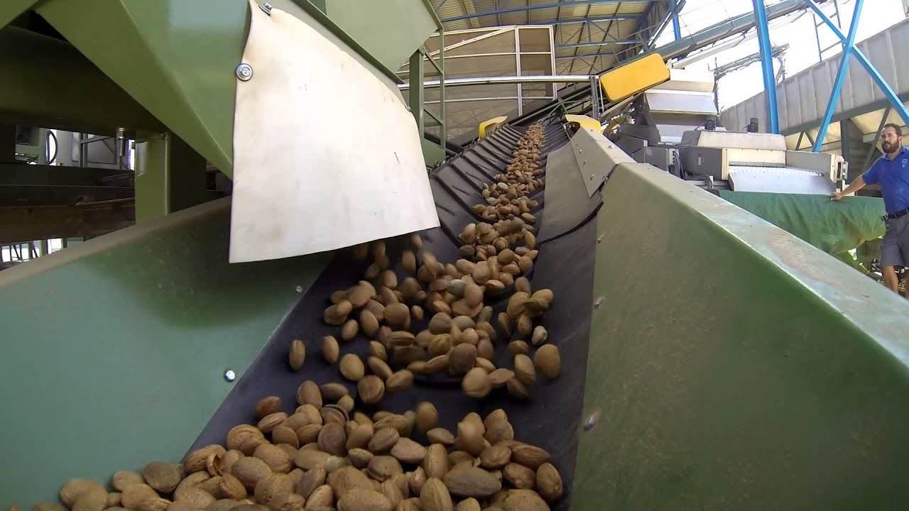 INSTALACION ALMENDRAS