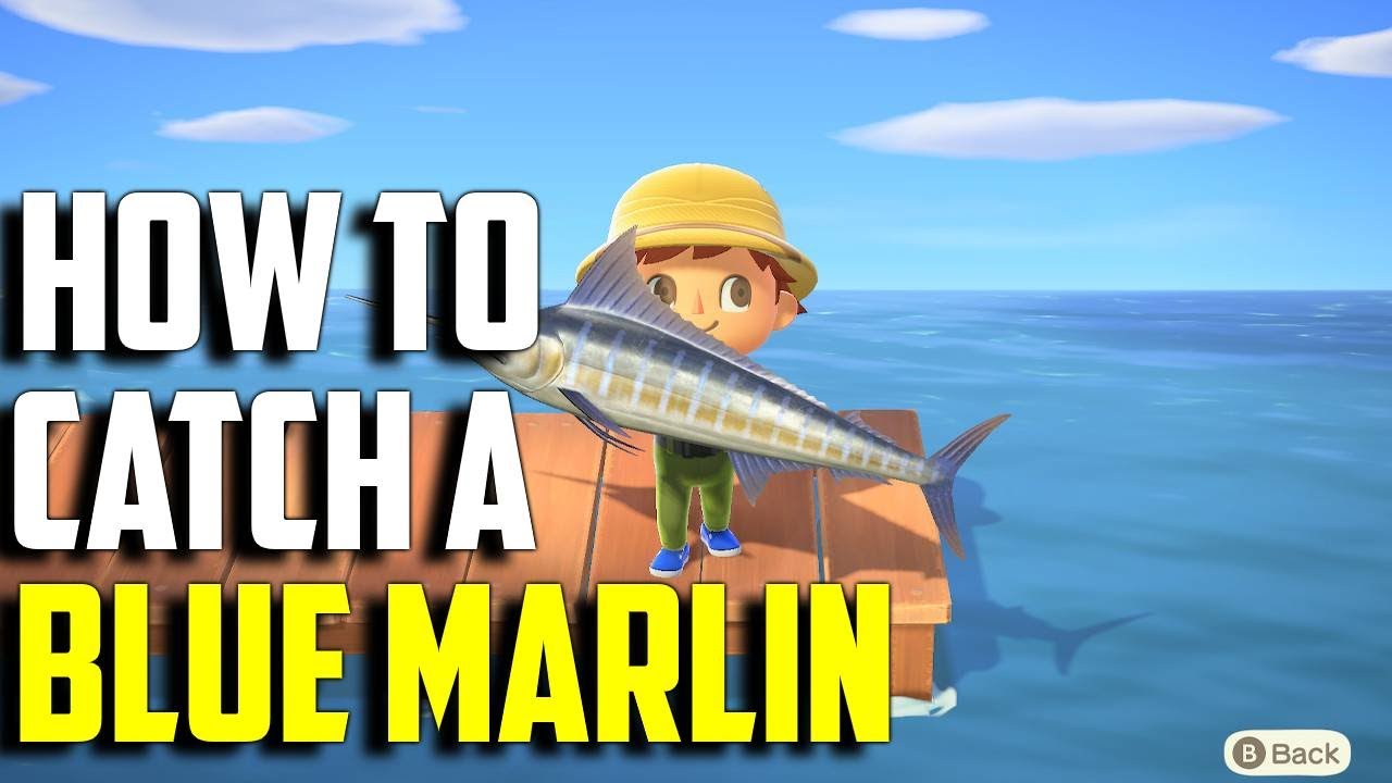 How to Catch a Blue Marlin | Blue Marlin ACNH | Blue Marlin Animal Crossing New Horizons