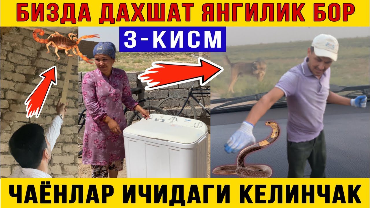 😱 Чаёнлар билан яшайдиган Келинчак. Бугун дахшатли воқеа бўлди 3-Қисм