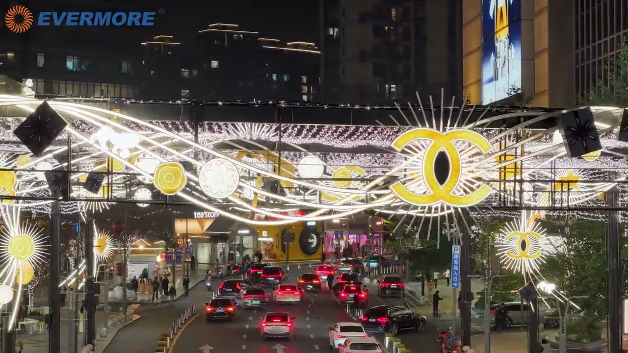 Dreamy Christmas Light Show: My 2025  Lighting Project