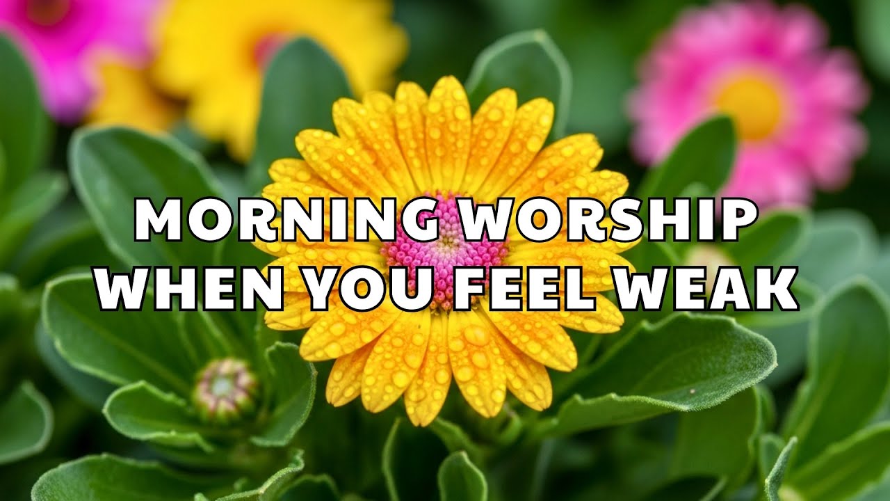 Morning Worship Songs 2026 ✝️ | These Songs Will Carry You When You Feel Weak