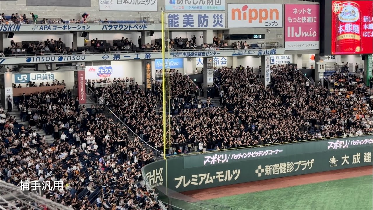 20240604　CHIBA LOTTE MARINES Chants from Inter League　セ・パ交流戦　千葉ロッテマリーンズ　チャント集　東京ドーム