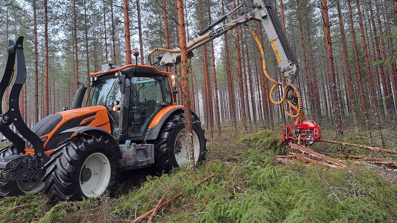 Kauden eka leimikko yhteismetsässä + turvekuorma matkalta