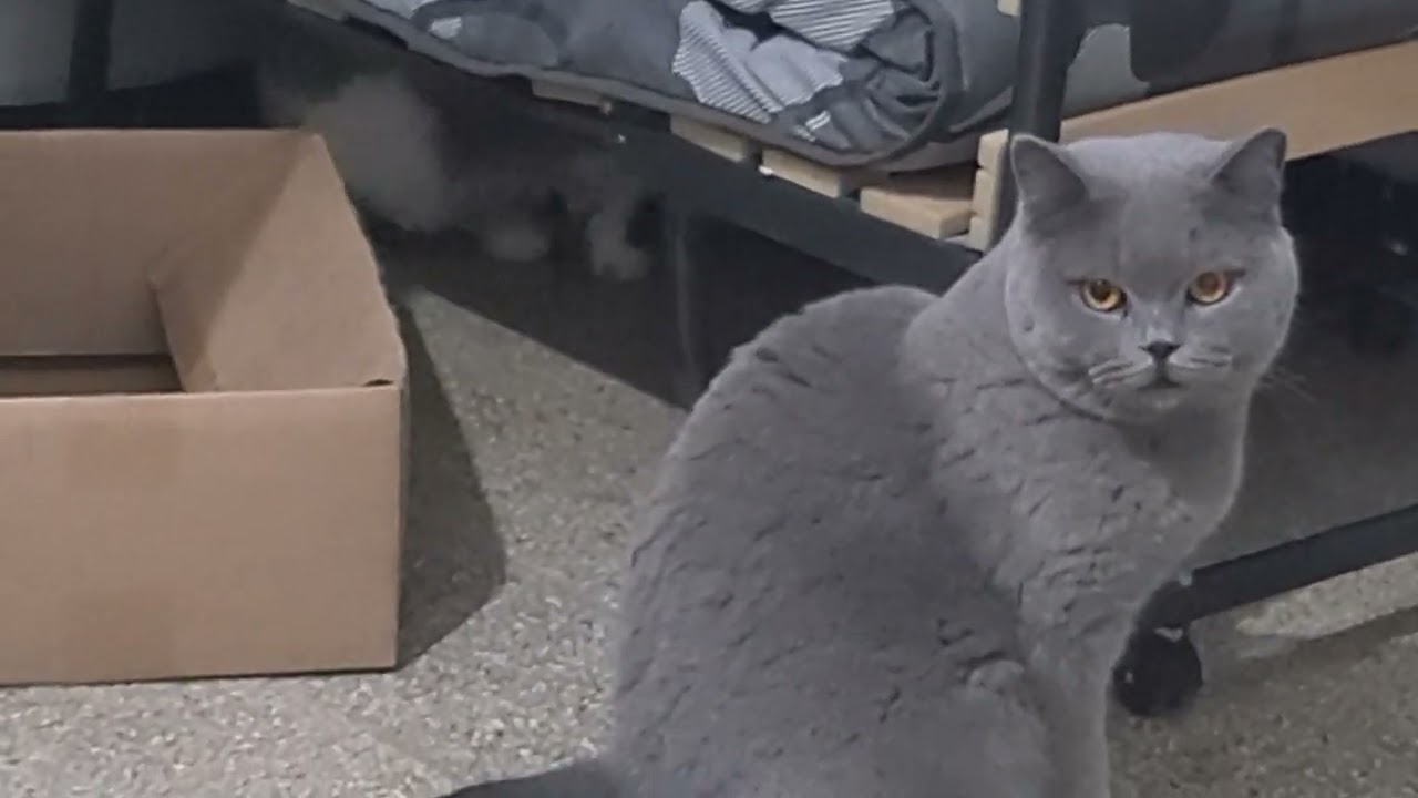 Вечер,что будет?