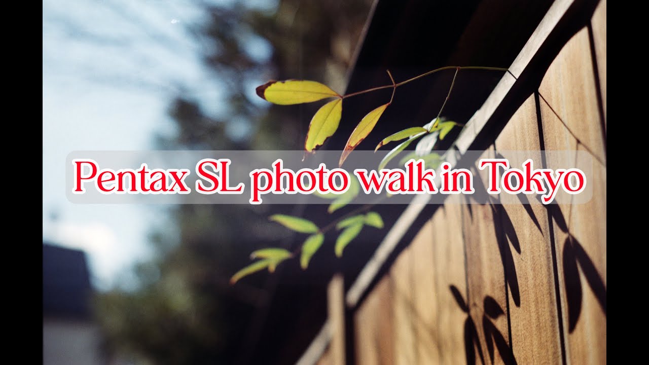 PENTAX SL photo walk in Tokyo traditional street