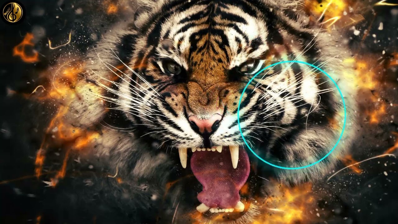 #tranding most popular bgm ringtone {copyright free song }