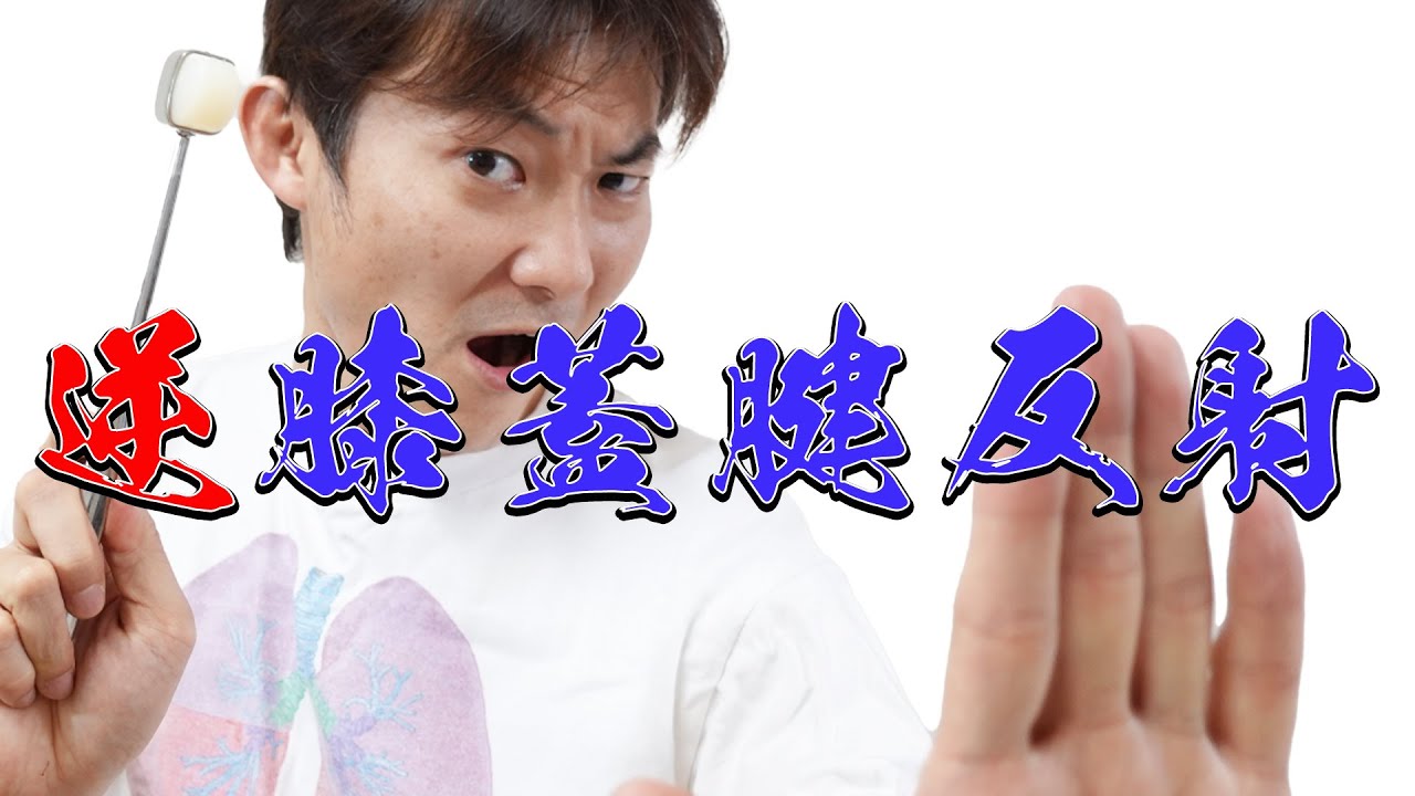 反射の放散～逆膝蓋腱反射：反射（Part.6）