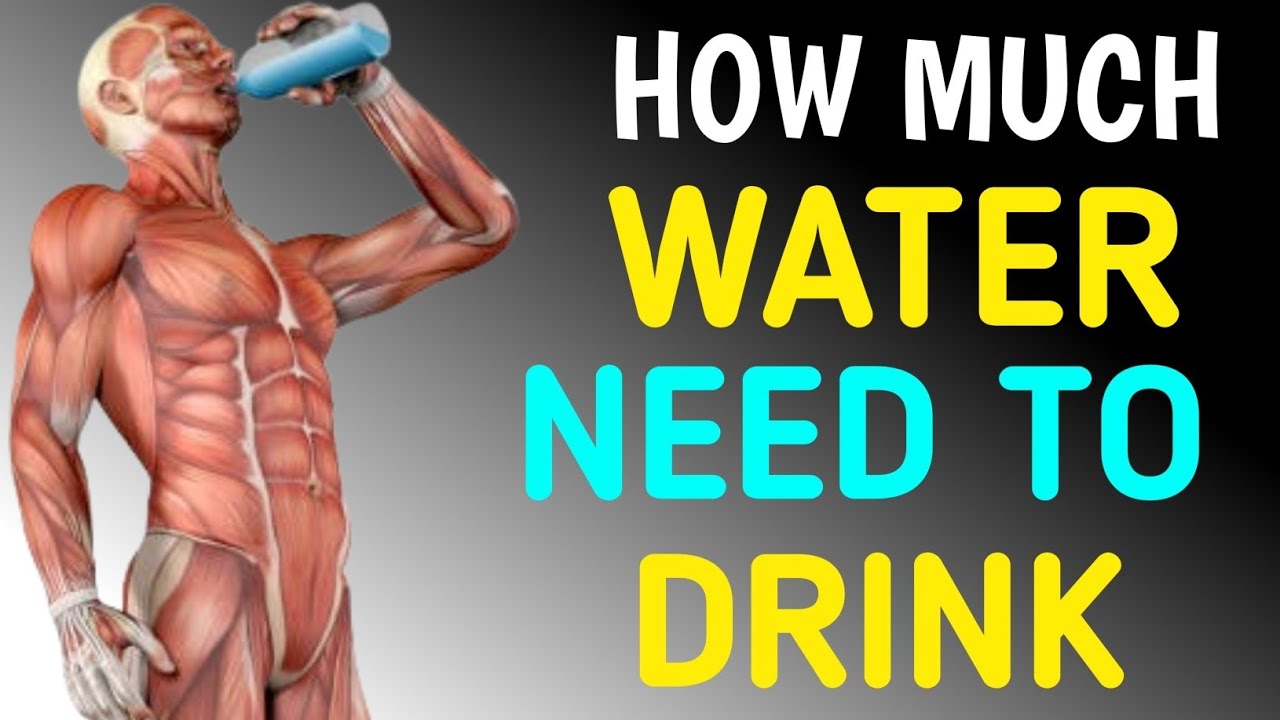 How Much Water Do You Really Need Every Day | Drink Water |