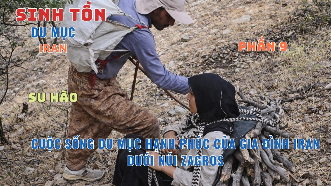 P9: Cuộc Sống Du Mục: Dựng Nhà Giữa Núi Rừng – Gia Đình Du Mục Iran Chăn Cừu, Bắt Cá Và Hái Quả Rừng