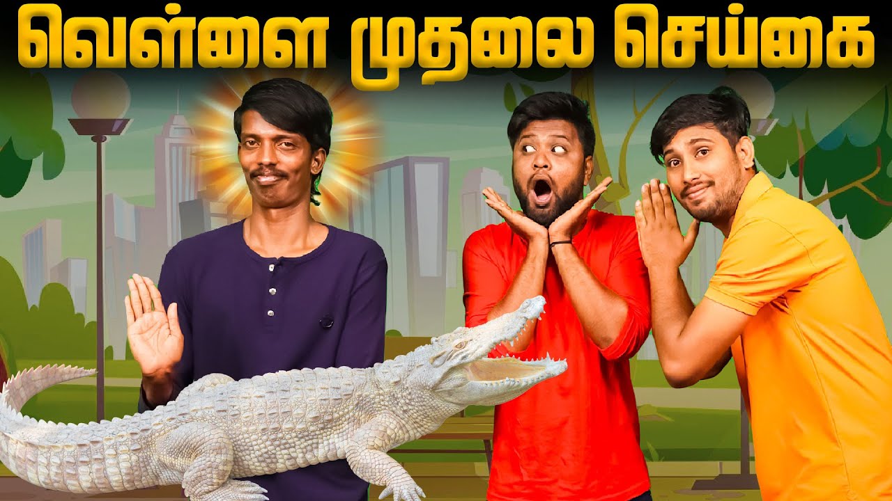 Vellai mothalai seigai | Balubose & MohanPVR | Seigai