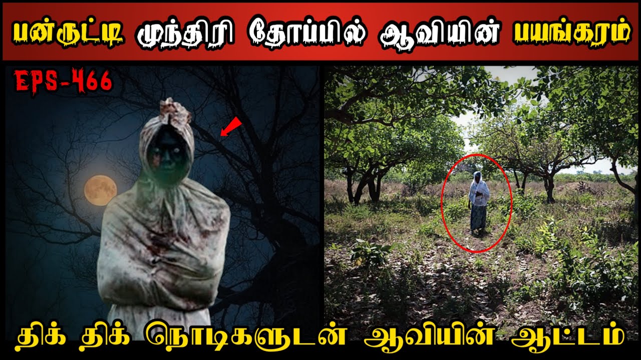 Real Life Ghost Experience in Tamil | பண்ருட்டி முந்திரி தோப்பில் ஆவியின்..😱| Shiva's Investigation