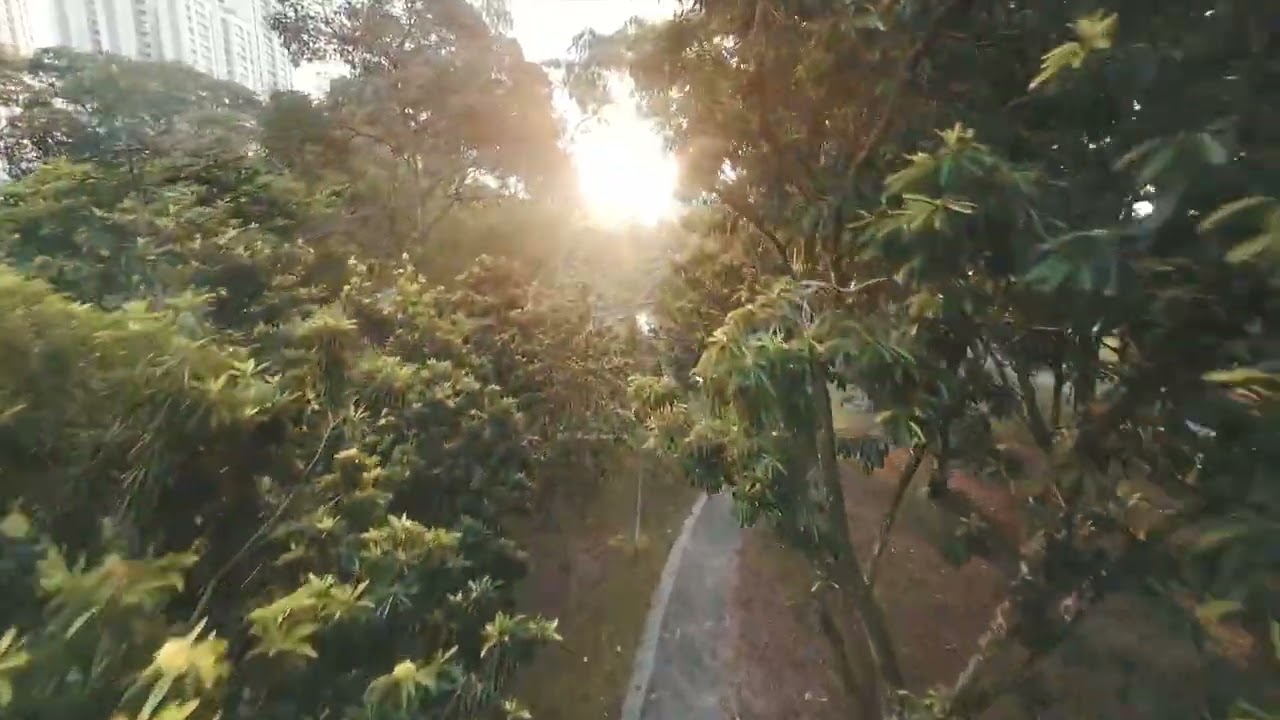 Bishan Ang Mo Kio Park FPV