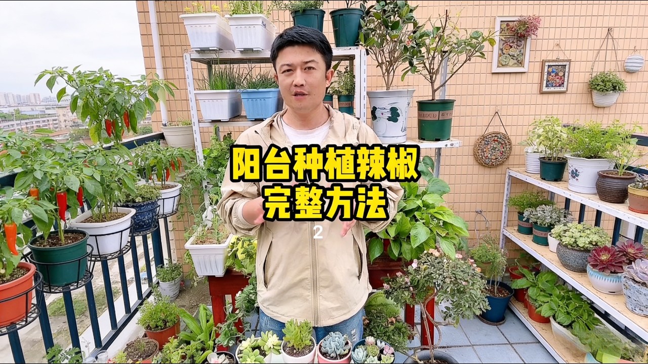 Useful chili growing tips.這支影片記錄了你在種植辣椒過程中，各種常見問題的解決方法，內容非常詳細實用。