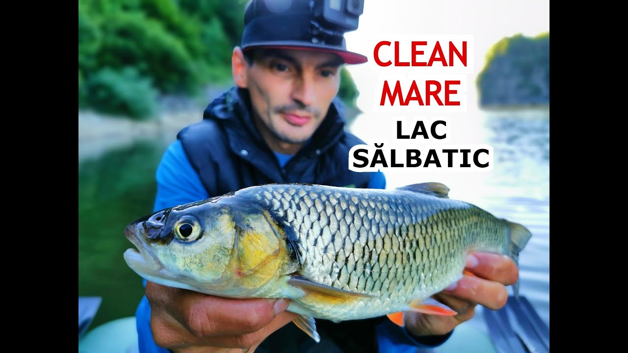 Pescuit la CLEAN MARE pe LAC SĂLBATIC cu voblere făcute acasă. HUGE CHUB-Fishing with Homemade Lures