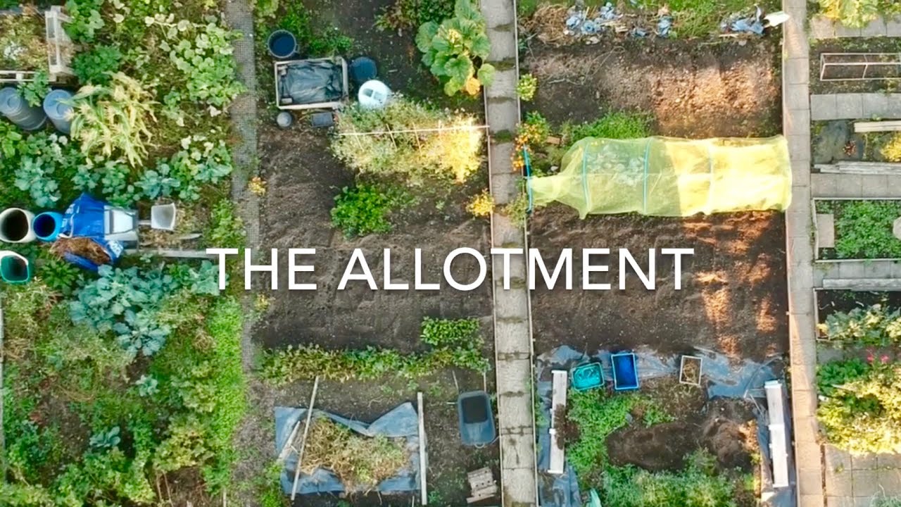 The Allotment (Community Garden) - Newport, South Wales
