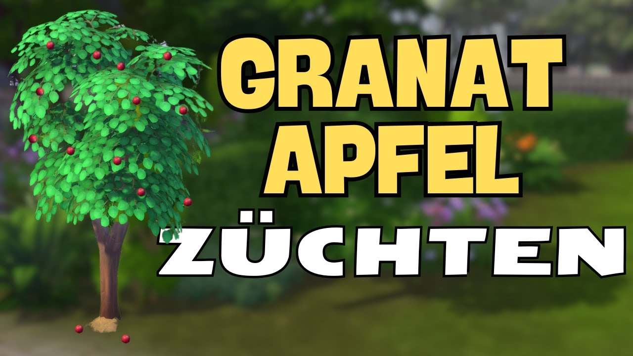 Sims 4 - Granatapfel z&uuml;chten