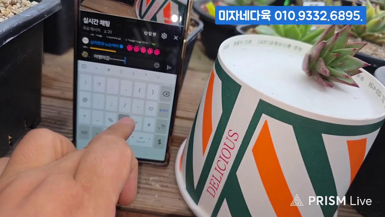 (3.19.목) 미자네다육 #금다육 #식물 #흙 #라이브 방송