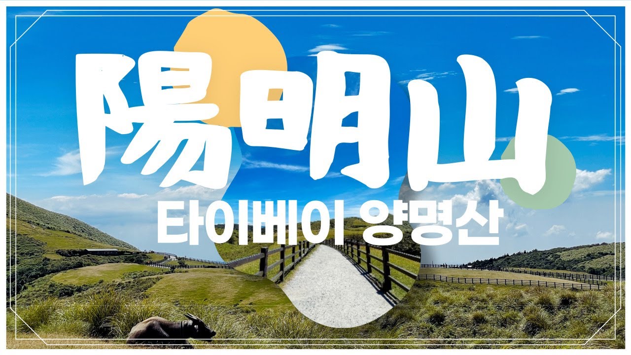 미쳐버린 9월의 대만 양명산 절경 | 타이베이에서 꼭 가야하는 여행지! 그리고 스린 야시장까지