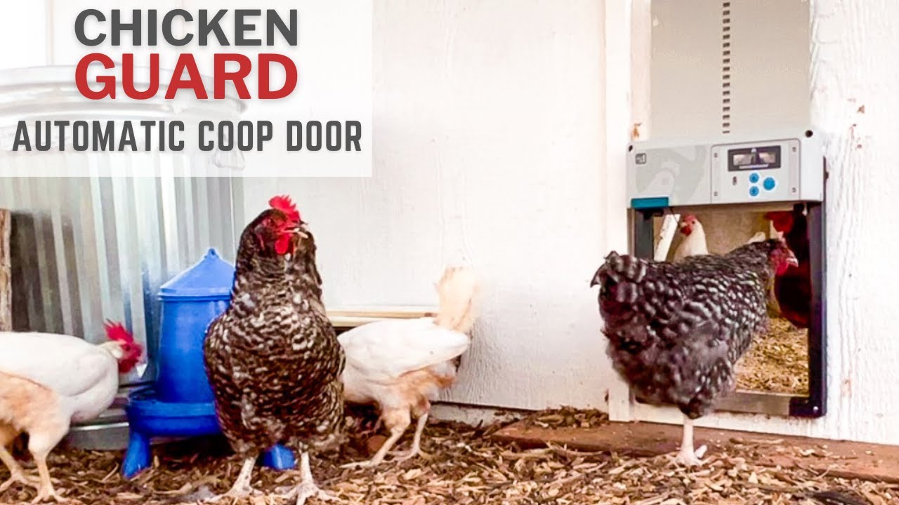 ChickenGuard ALL IN ONE | Automatic Chicken Coop Door