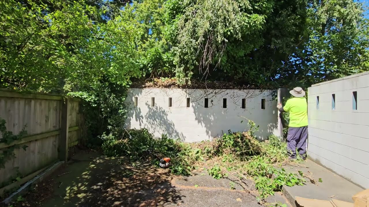 this PROPERTY have too many RATS massive CLEANUP 🐀🐀🐀