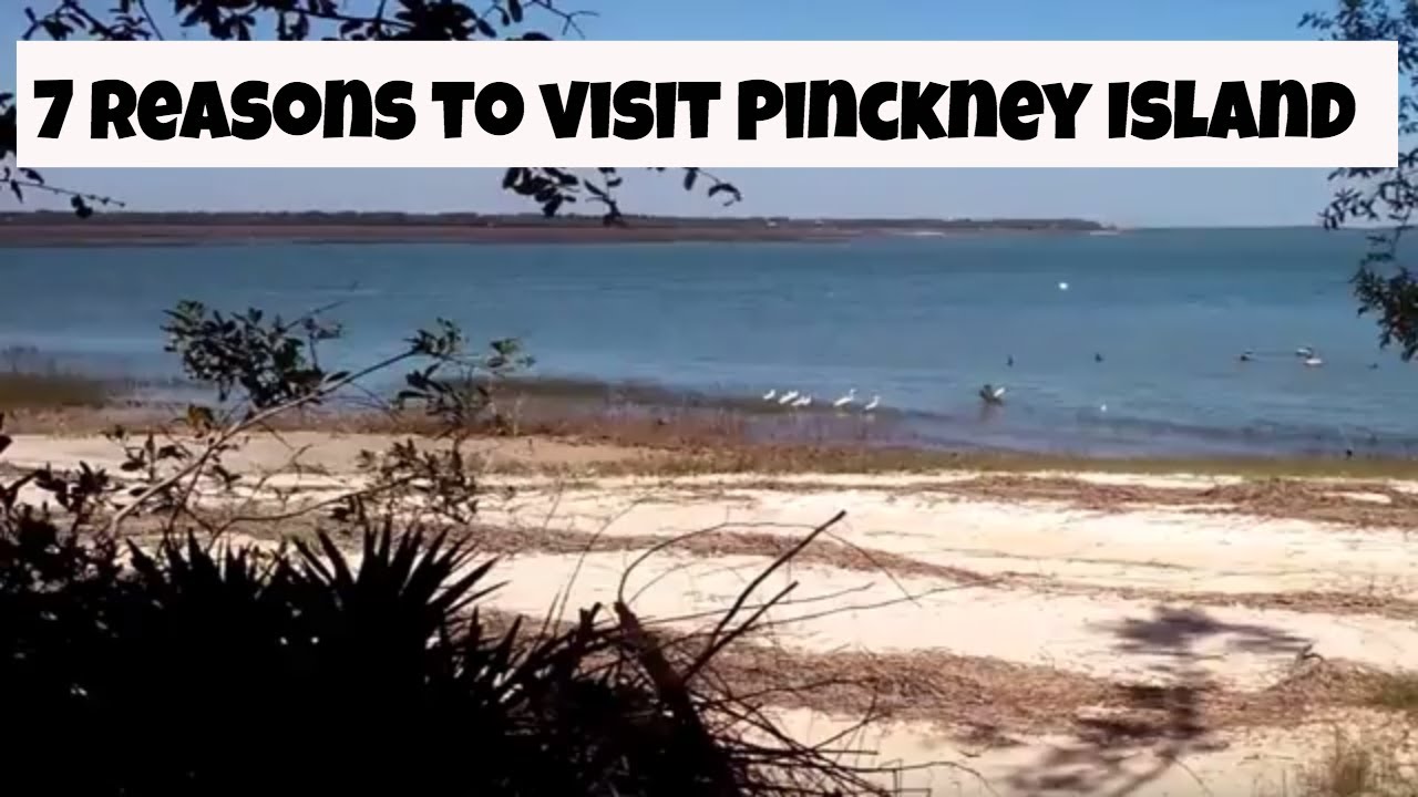 Pinckney Island National Wildlife Refuge- What to do at Hilton Head Island