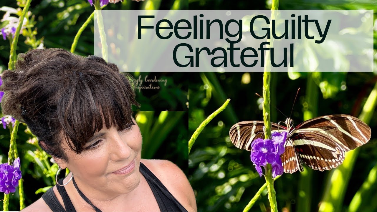 See What Hurricane Helene Did to My Florida Butterfly Garden 