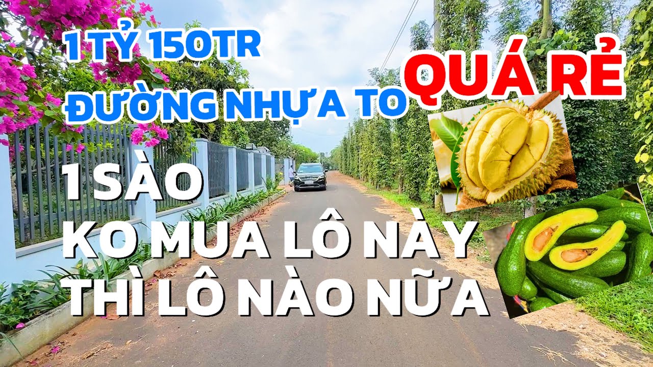 Gấp! A Năm kẹt tiền bán 1sào vườn bơ, sầu riêng, đường nhựa lớn chỉ 1tỷ150tr ở Sông Ray Giáp TP HCM