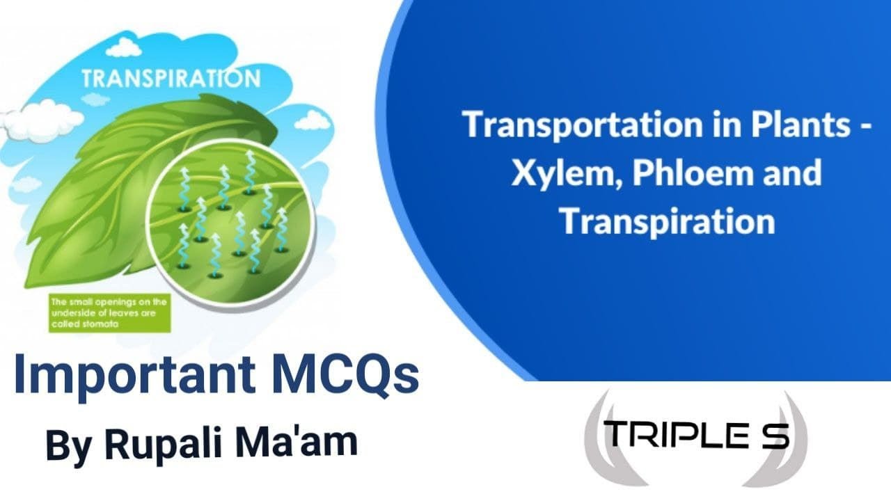 Transportation of Food and Minerals in Plants || Important MCQs by Rupali Ma'am for JKSSB Exams