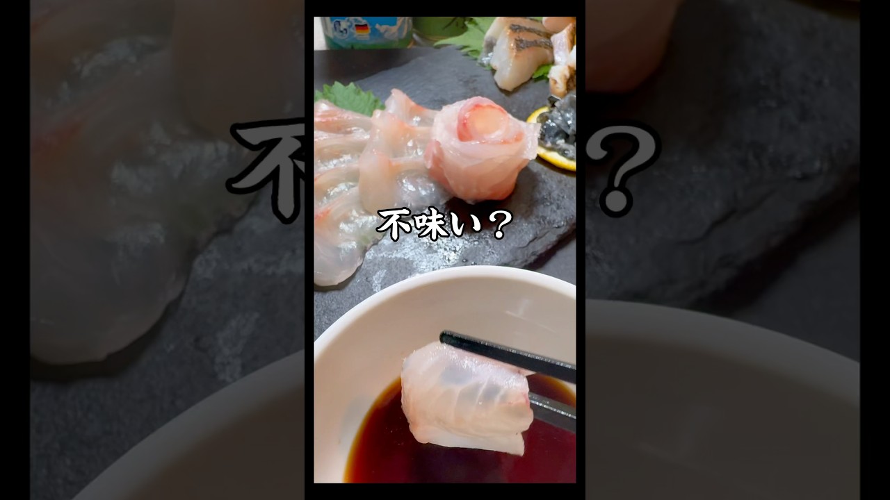 【夏は不味い】噂は本当なのか夏のグレ（メジナ）を食べてみた#晩酌 #料理 #さかな #おつまみ#shorts #刺身#魚#釣り