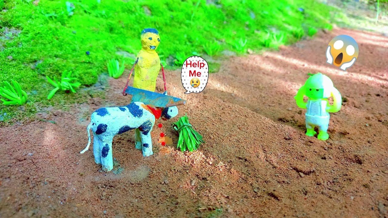 WADIDAU‼️PROSES POTONG SAPI KURBAN SIMOLASI, cow cutting interesting video