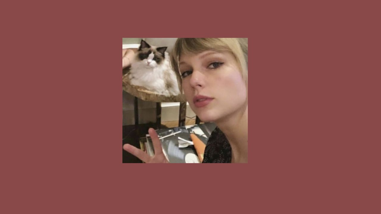 Taylor swift - Better than revenge (sped up)