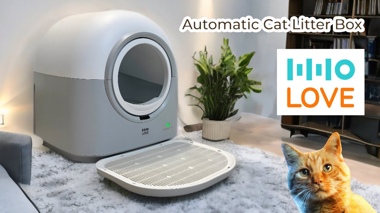 HHOLOVE Smart Self-Cleaning Cat Litter Box – Never Scoop Litter Again! 🐱✨