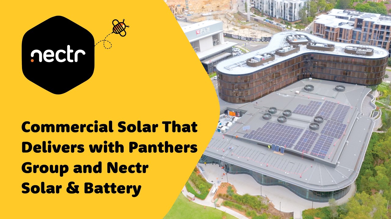 Commercial Solar That Delivers with Penrith Panthers Group and Nectr Solar & Battery