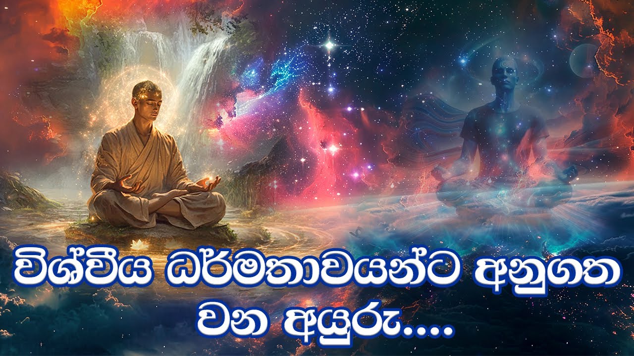 විශ්වීය ධර්මතාවයන්ට අනුගතවන අයුරු | How to Align with Universal Truths