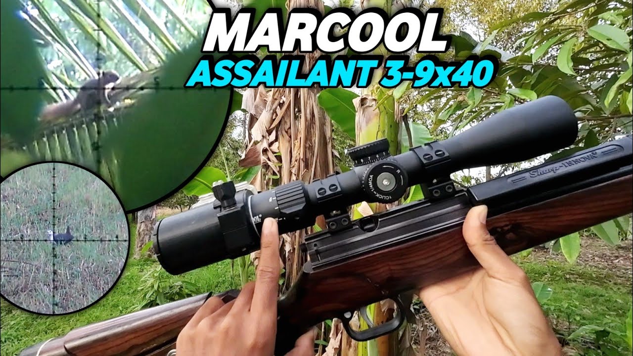 TES HUNTING SCOPE 300 RIBUAN‼️ LANGSUNG PANEN