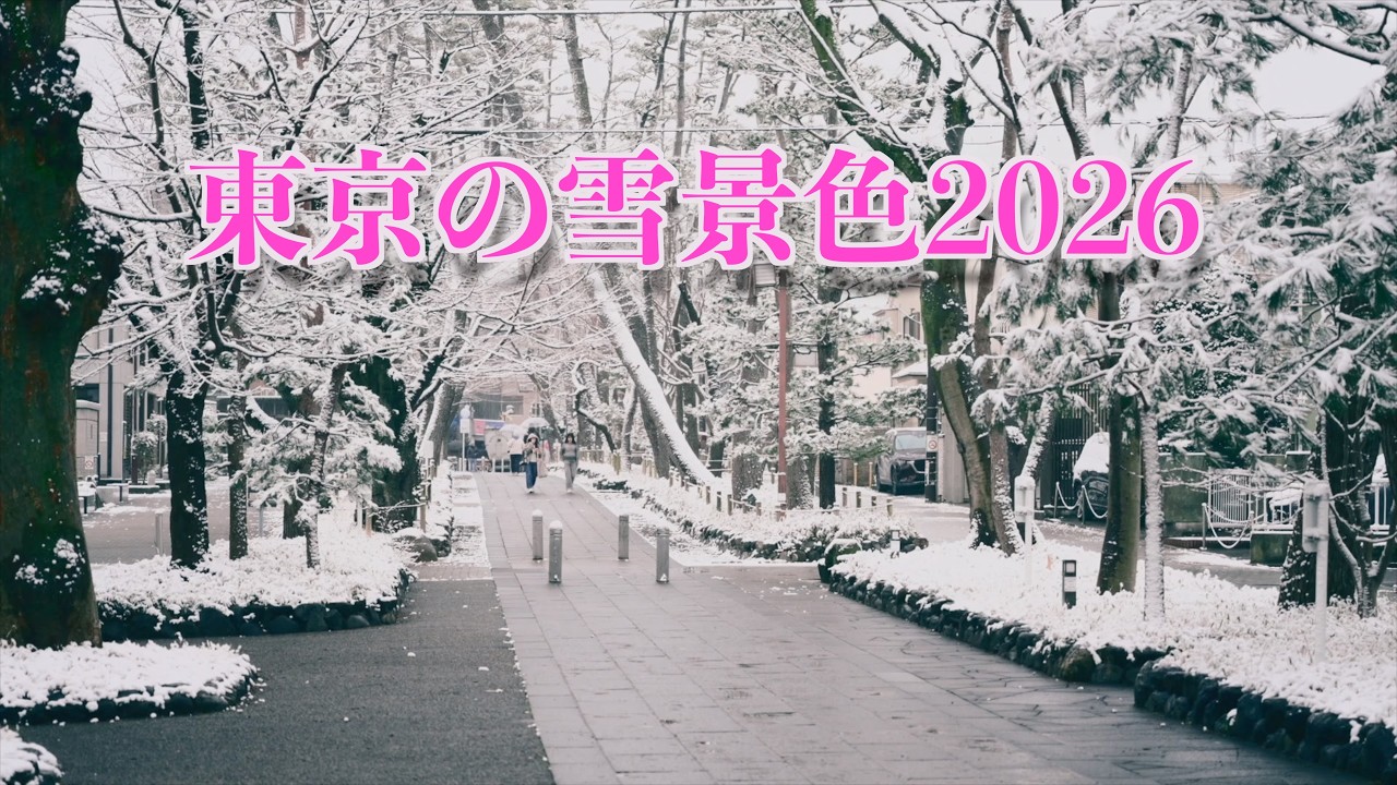 東京の雪景色