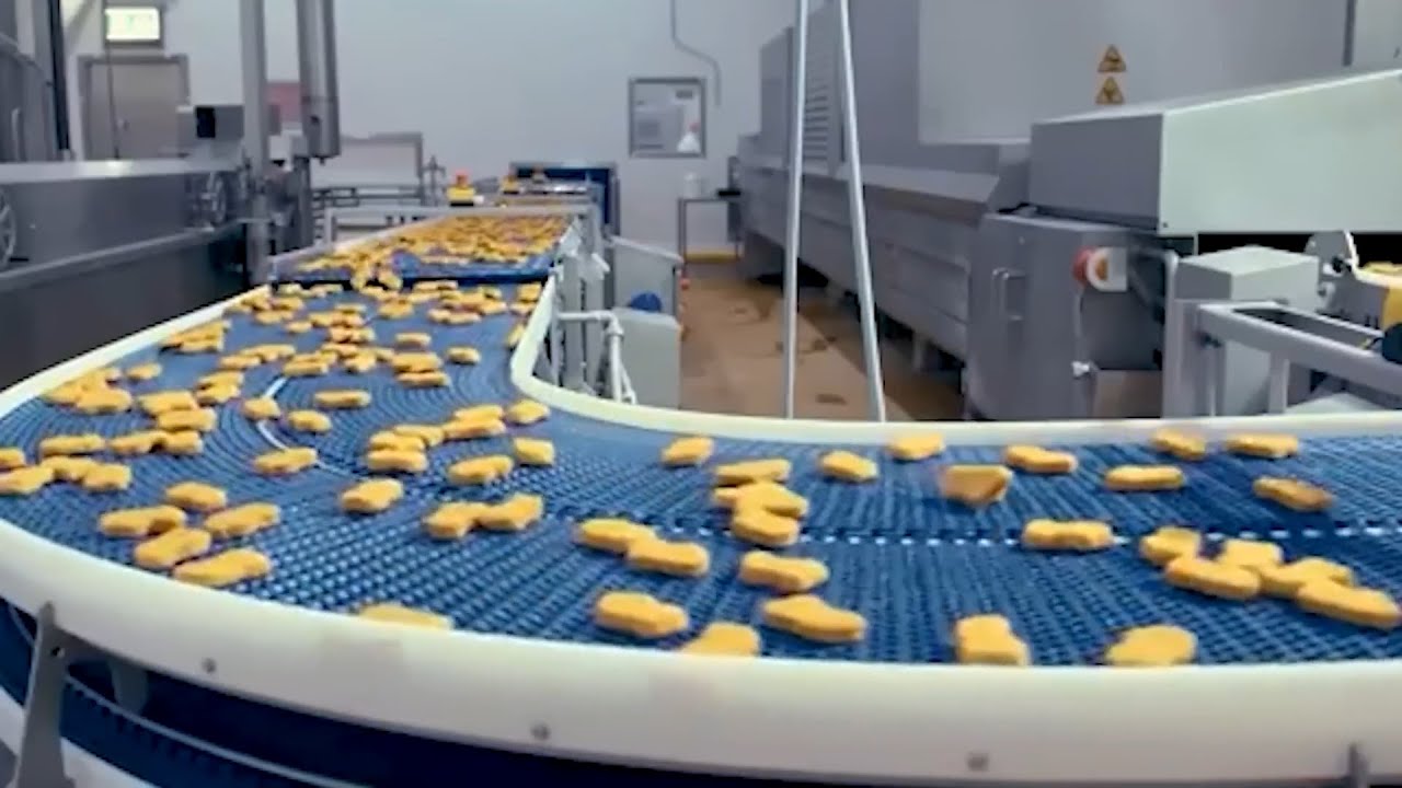 How Chicken Nuggets Are Made – From Farm to Fryer