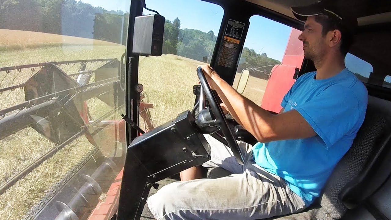 La moisson du colza - 2019