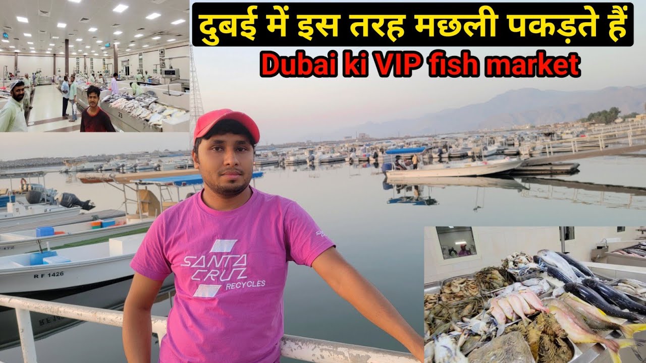 Ras al khaimah fish market| RAK Fish Market, Dubai Fish Market, Sharjah Fish Market, #fishing