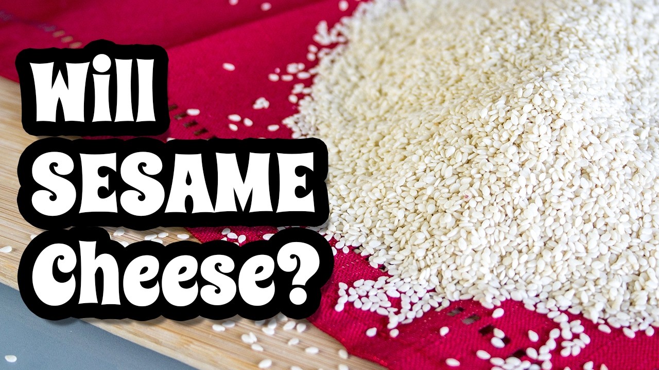 Sesame *WANTS* to be Cheese. Let's help  | Mary's Test Kitchen