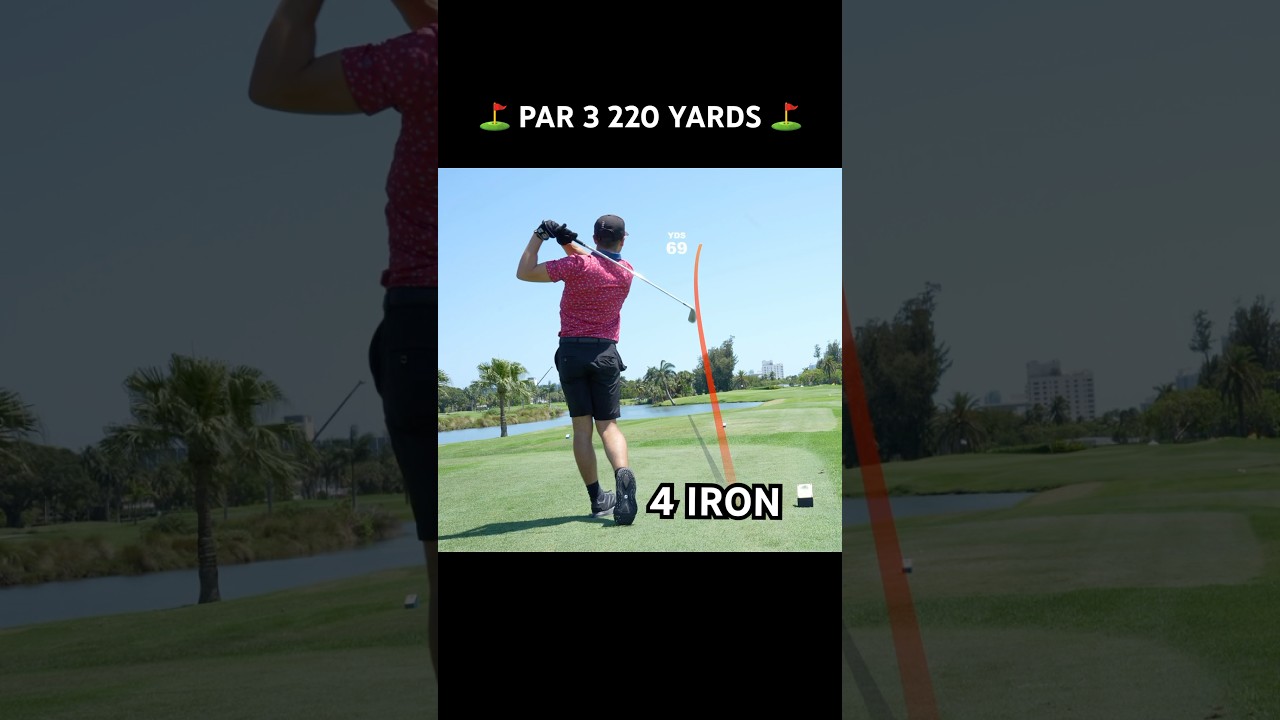 4 iron at the Par 3 14th hole at Miami Beach Golf Club! #golf #golfswing #golflife #titleist  #par3