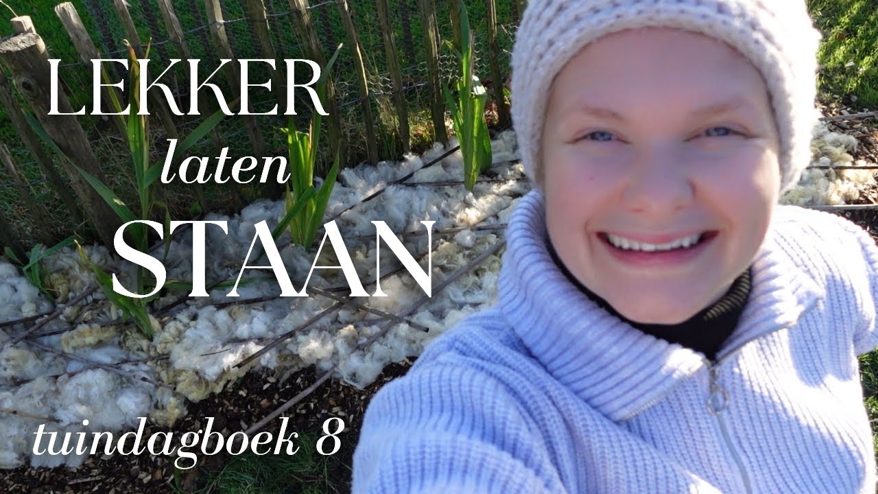 Dahlia's in de GROND overwinteren (zonder uithalen of bewaren!), hoe ik het doe - TUINDAGBOEK #8